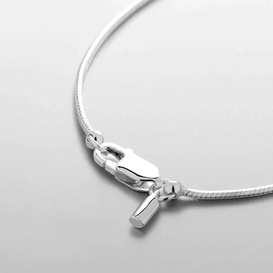 Auretier silver necklace with sleek snake chain and secure lobster clasp on a light background